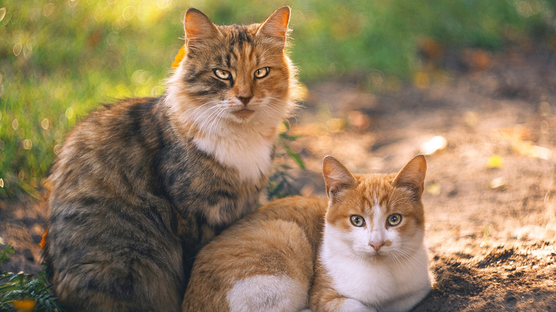 暗夜掌灯人，贝恩在东部决赛关键战的七分钟神谕