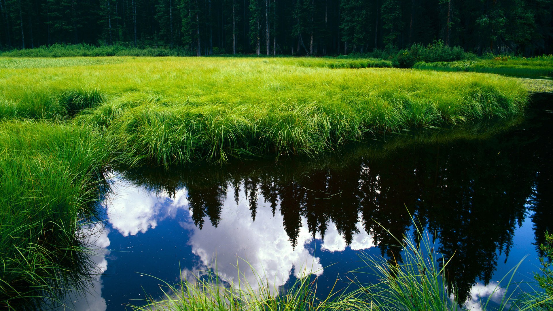 安哥拉爆冷斩落加拿大，迪巴拉关键先生一锤定音