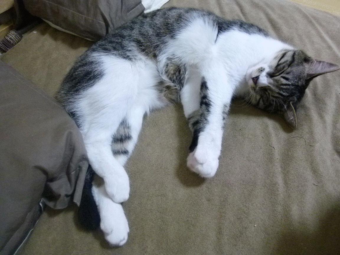 战术的冻结与天才的解冻，拉梅洛生涯之夜击穿马刺防线