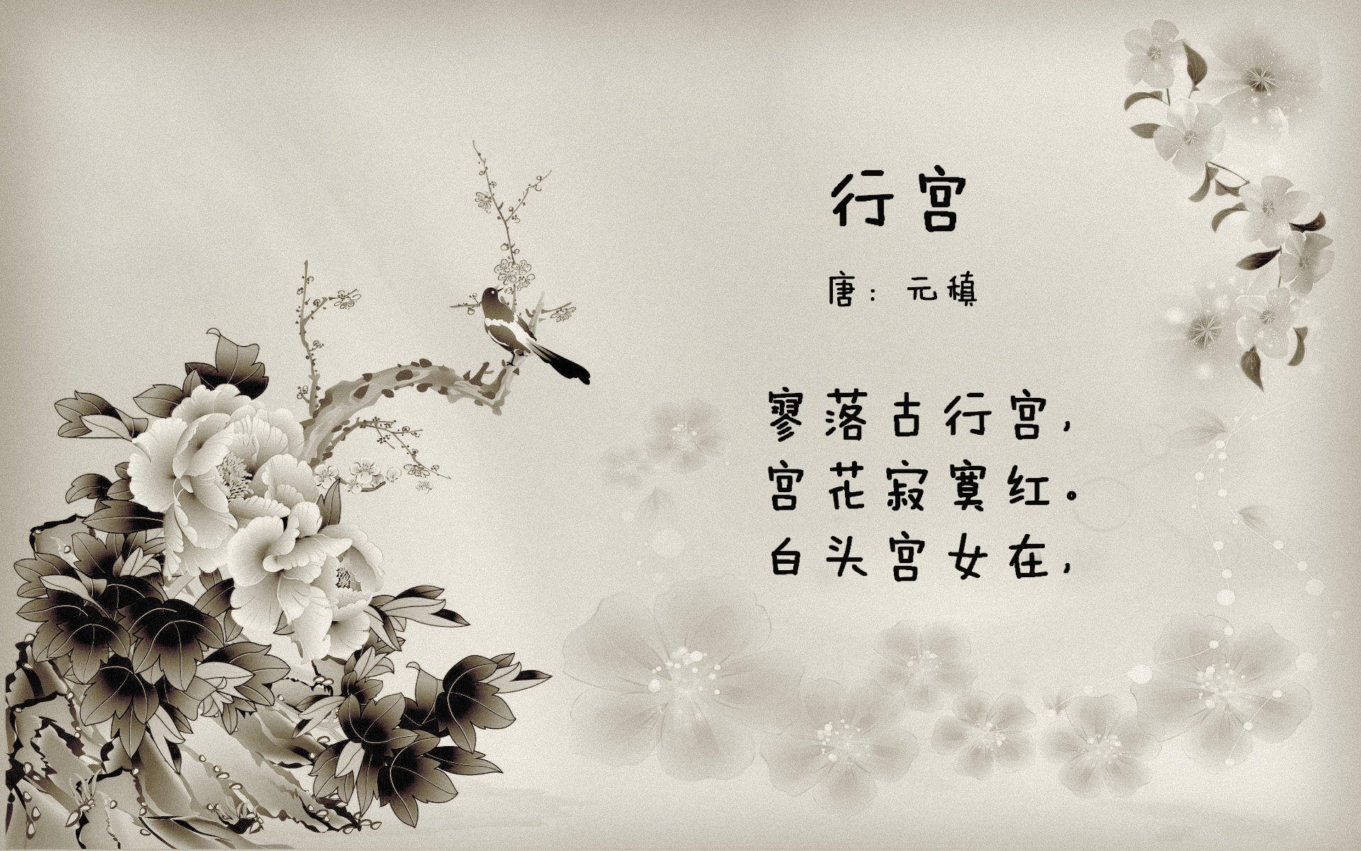 跨界奇迹夜，突尼斯足球险胜挪威，C罗空降NBA季后赛主宰胜负