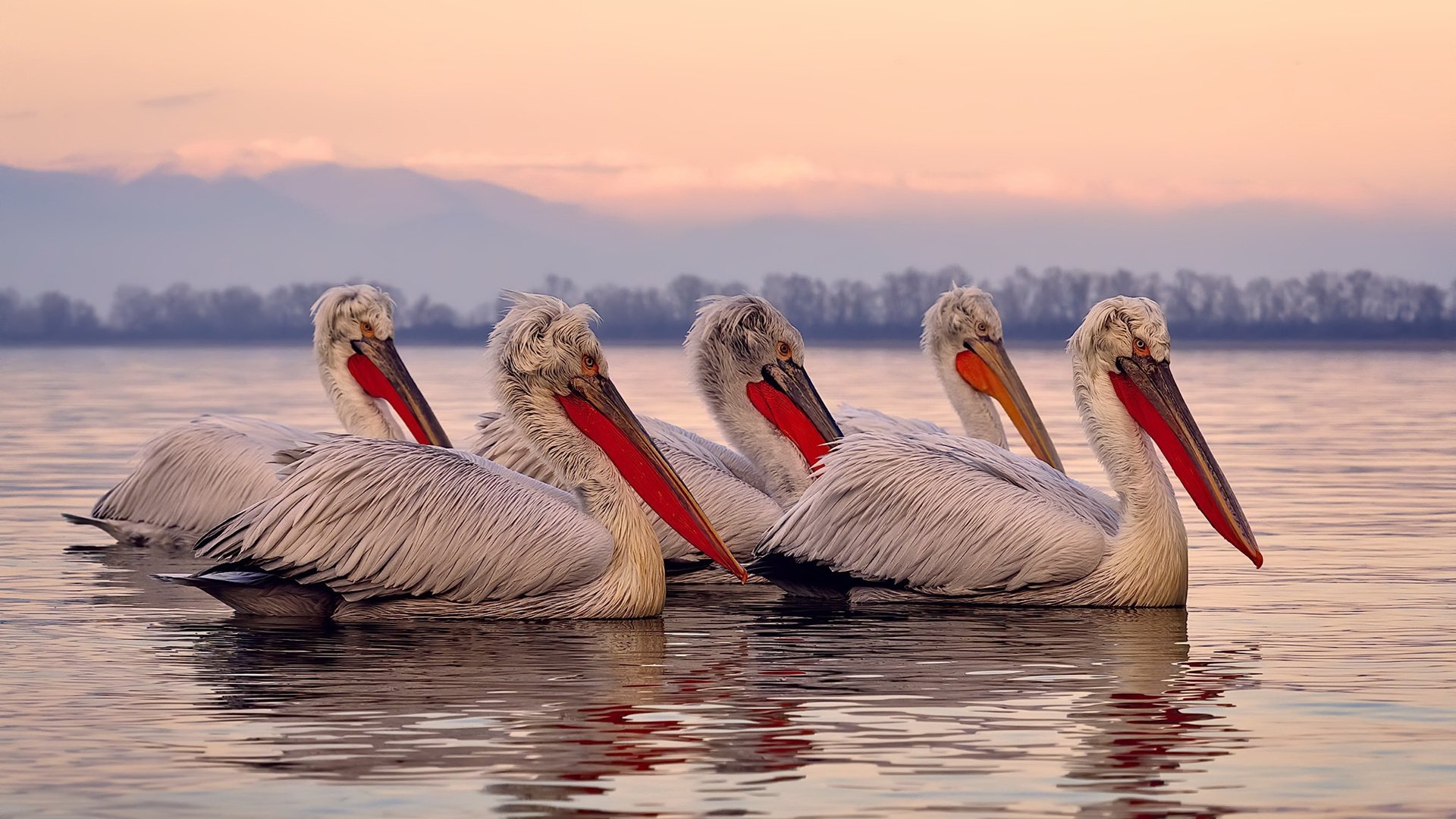 被冰封的王座，文班亚马独舞于快船的钢铁防线