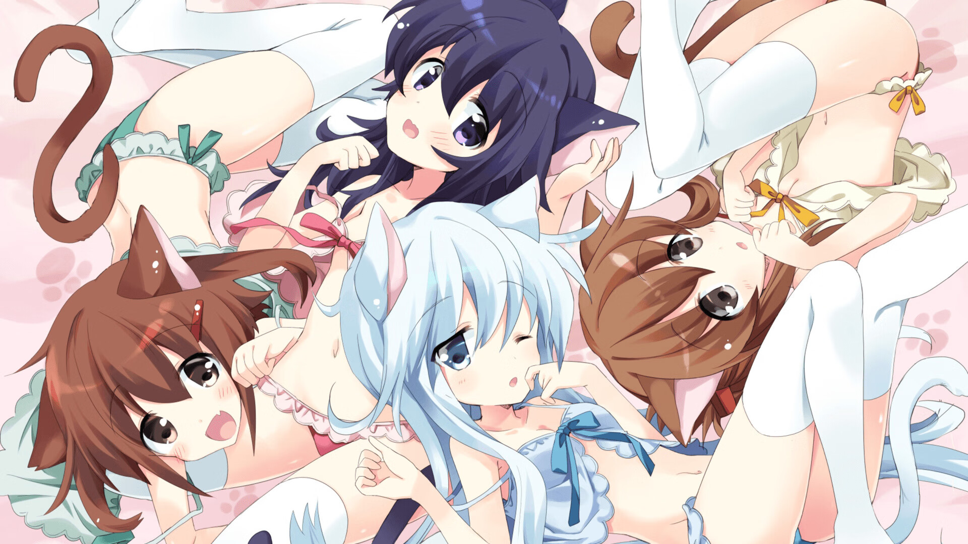 速度之战，跨越半球，世界杯焦点战与广厦横扫的隐秘共鸣