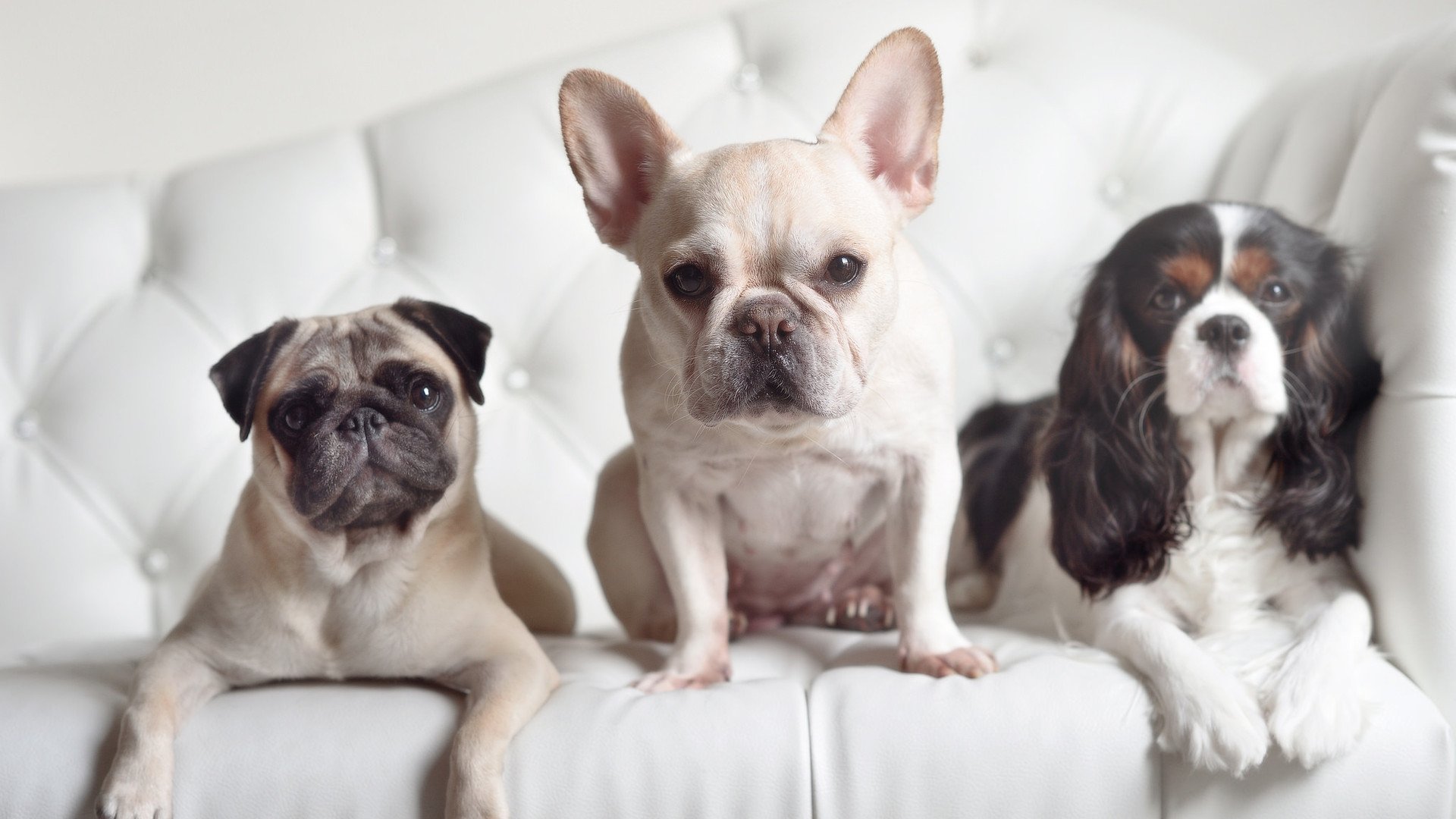 加时鏖战,灰熊力克广厦;哈利伯顿一手导演胜利