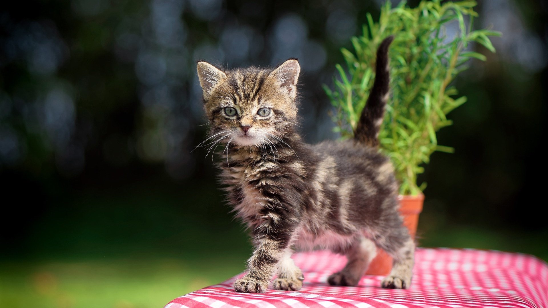 两代亚洲一哥的无声交接,久保建英在国家德比之夜完成历史性蜕变