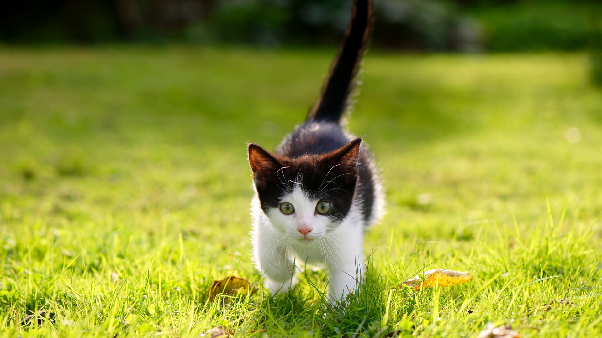 两代亚洲一哥的无声交接,久保建英在国家德比之夜完成历史性蜕变