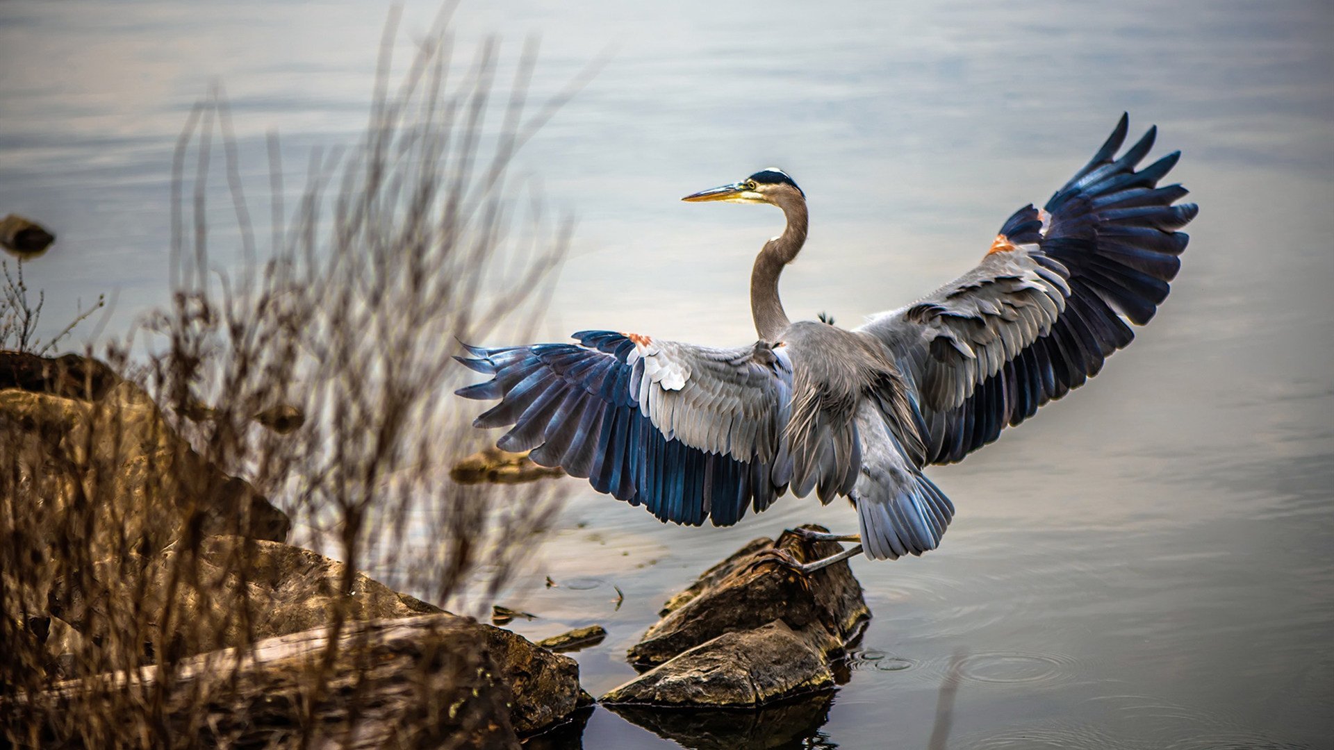 中国对阵摩洛哥,C罗式进攻的阴影与足球未来的启示