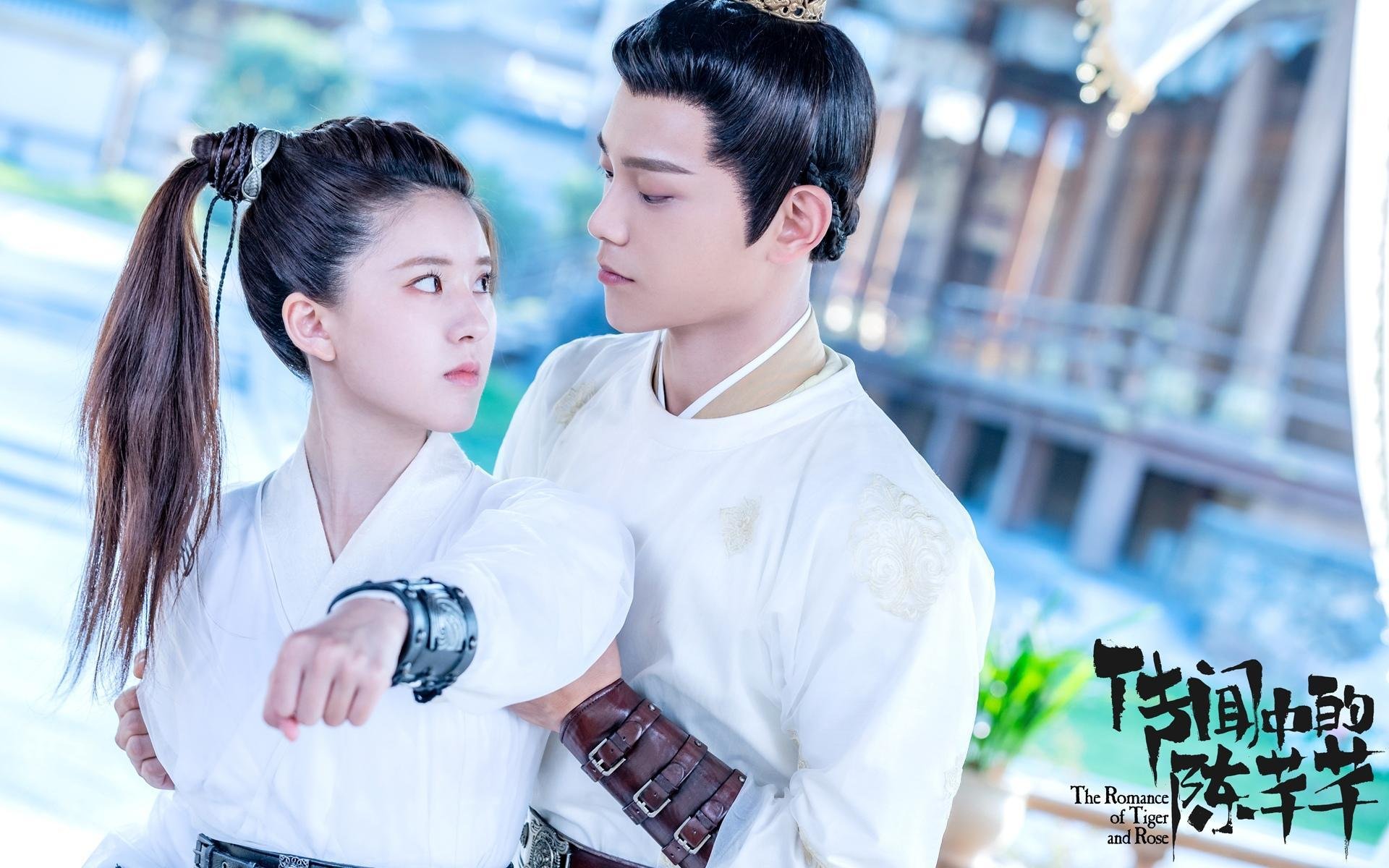 绿茵传奇与牛仔风暴,孤勇者的胜利