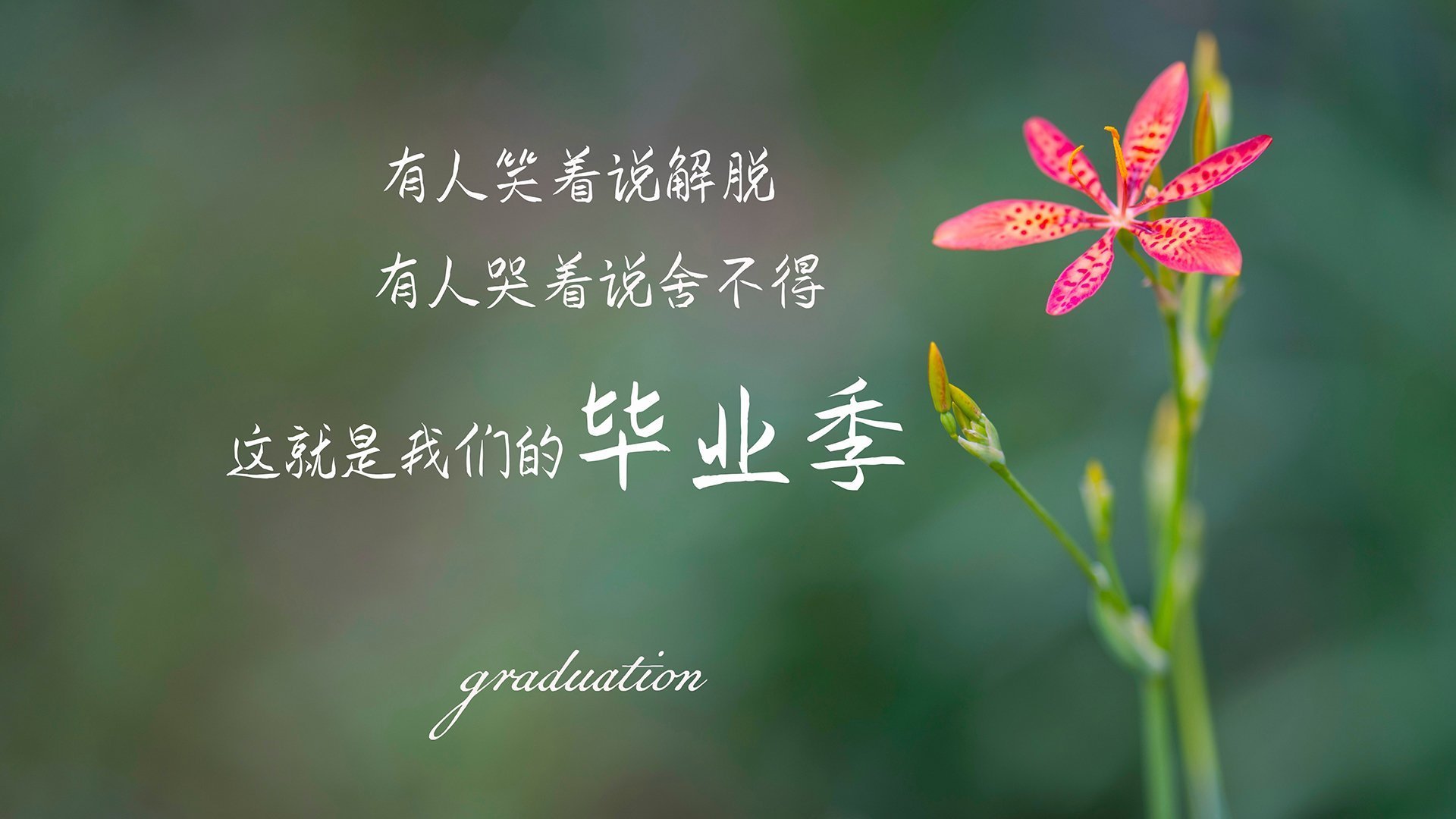 世界杯预选赛决战,托尼的淬火之夜