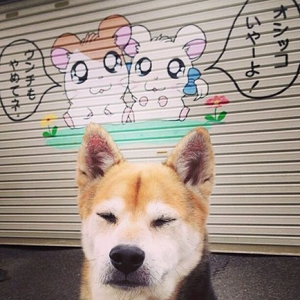 时间为他倒流，东决G6英格拉姆的49次选择