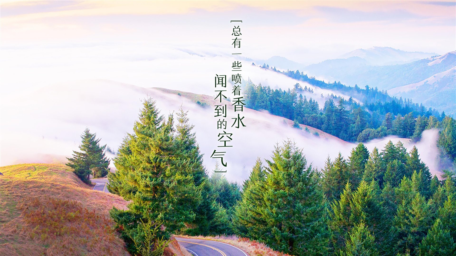 哈利伯顿,当硬仗之王在无声处听惊雷