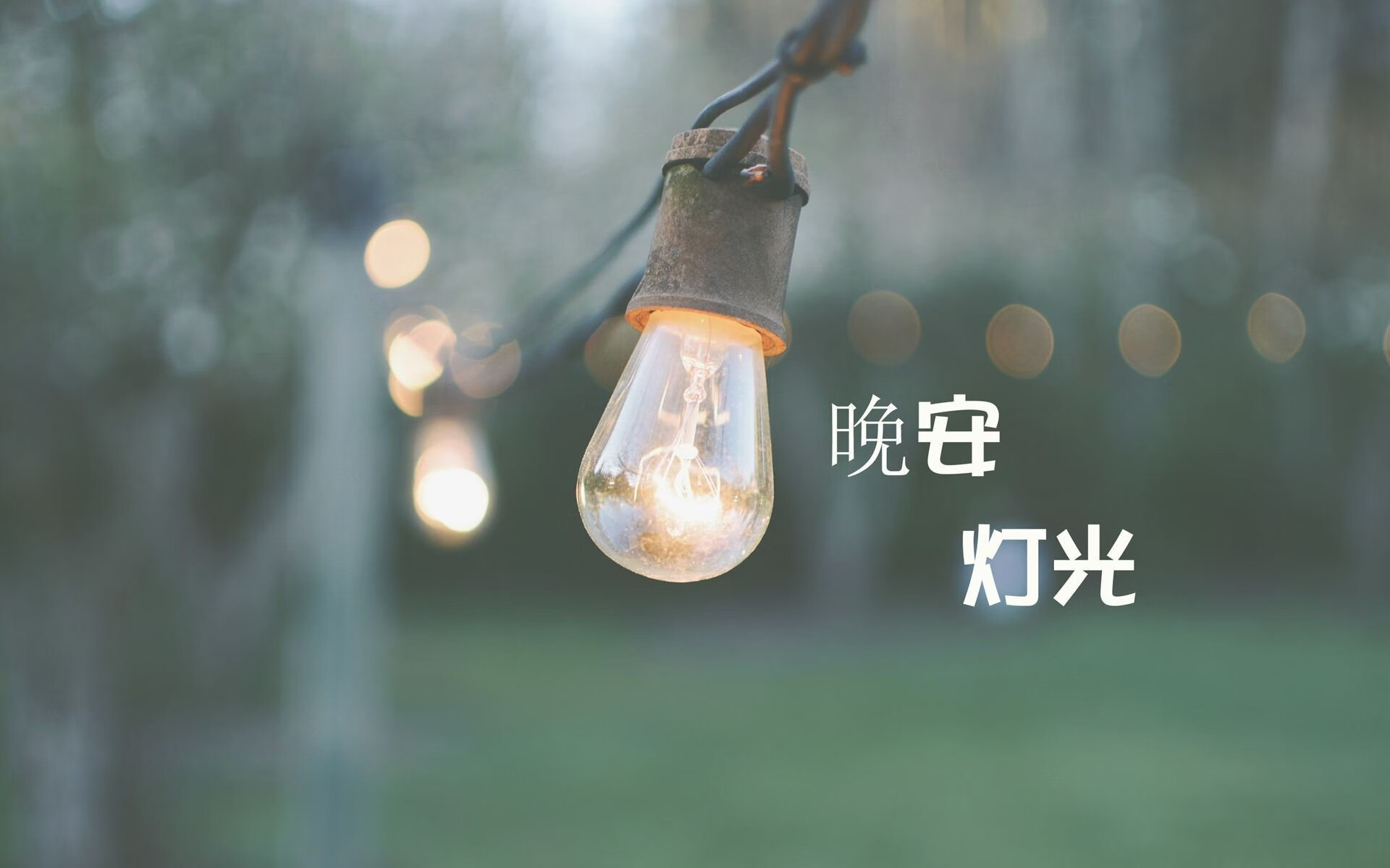 中场定乾坤,锋线耀光芒—2026世界杯G组奥地利大胜冰岛,莱万多夫斯基独领风骚
